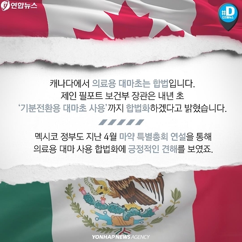 <카드뉴스> 독초? 약초? 각국 의료용 대마 합법화 논란 - 7