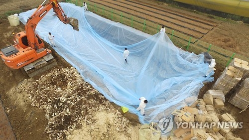 "매년 AI 살처분 보상금 수천억원…겨울철 닭·오리사육 말자"(종합) - 2