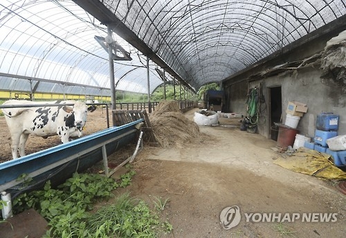 '축사노예' 재활 두달 만에 '숙련공'…3월엔 초등학교 입학 - 2