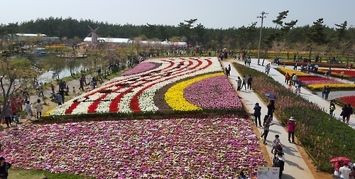 지난해 열린 태안꽃축제