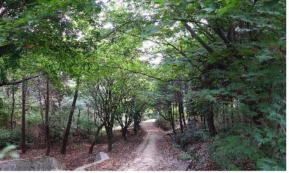 인천대공원 관모산