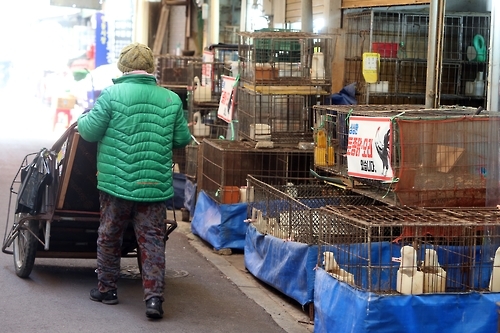 한산한 광주 서구 양동시장 '닭전머리'.