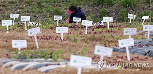 "도시농부가 되어 보세요"
