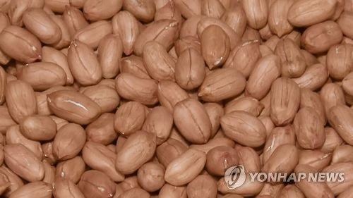 고창군 '땅콩산업' 키운다…가공제품 개발 주력 - 1