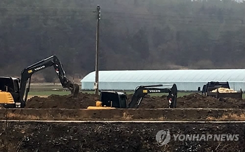 살처분