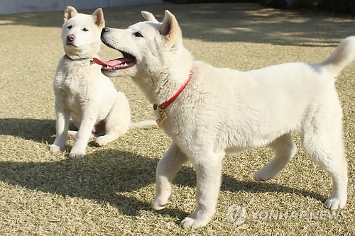 청와대에 있던 2013년 6월 당시 희망이 새롬이