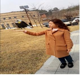 사진찍기 예시(흰머리수리)