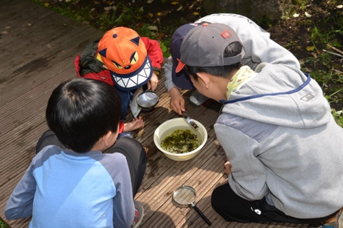 한라생태숲 주말생태체험 프로그램