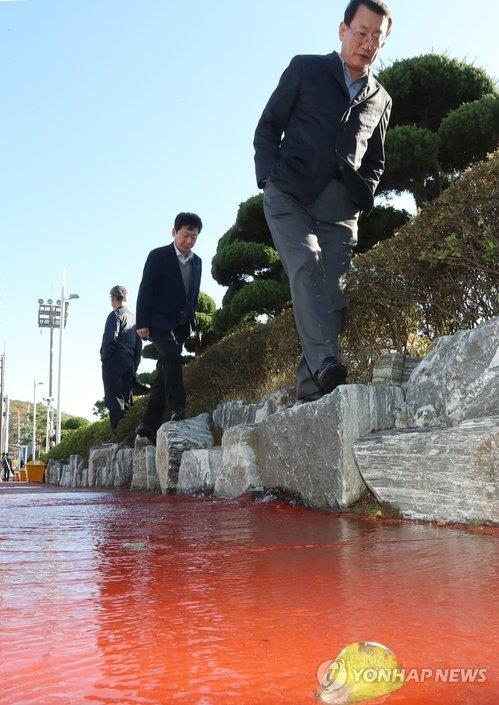 지난해 11월 바닷물로 침수된 동명동 사거리