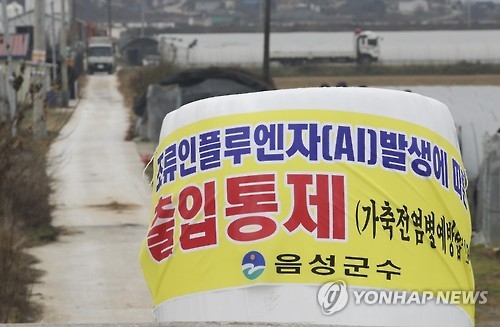 '제주 AI' 발생에 충북도 긴급대응 태세 재가동 - 1