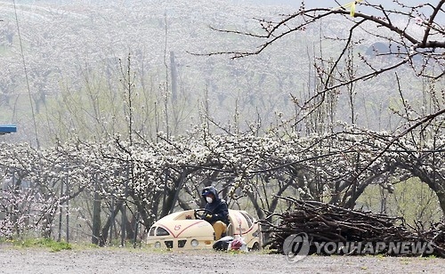 '미세먼지도 상관없다'