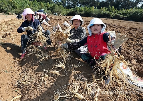 연합뉴스 자료 사진