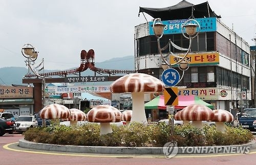 장흥 토요시장
