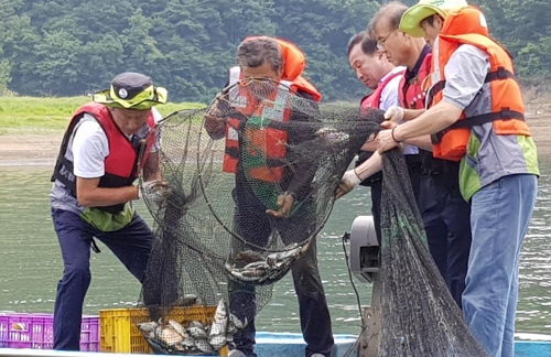 그물에 잡힌 배스와 블루길