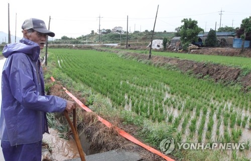 당분간 물 걱정 안 해도 되겠네