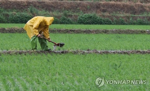 논두렁 다지는 농민