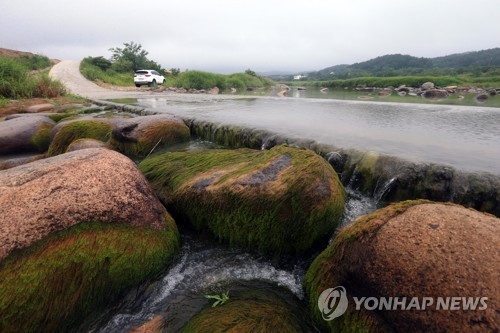 충북 밤사이 '단비'…제천 덕산 68㎜ - 1