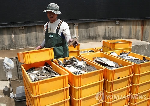 폐사한 양식 물고기 [연합뉴스 자료사진]