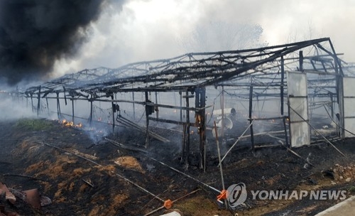 불에 탄 익산 양계장.