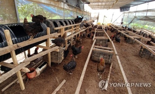 살충제 검출된 황씨 농장.