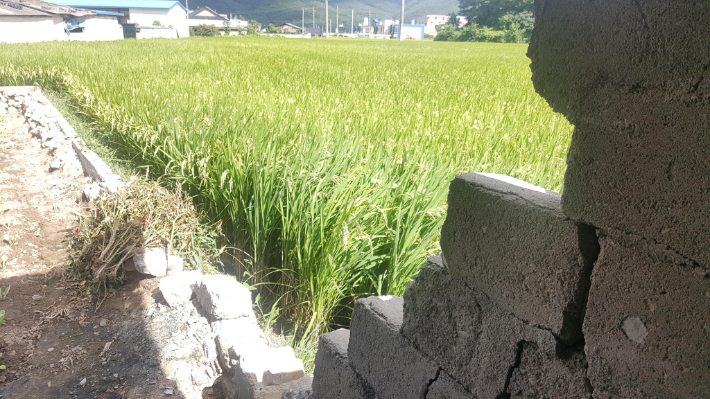 담 있던 자리