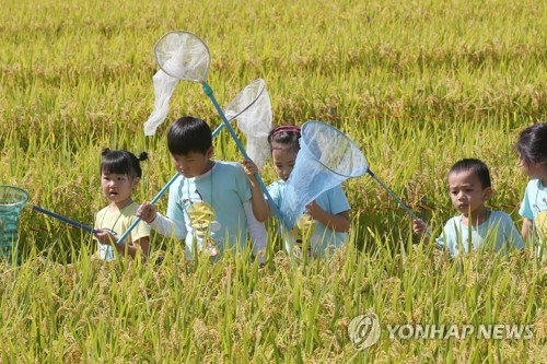 "메뚜기가 어디 있을까"