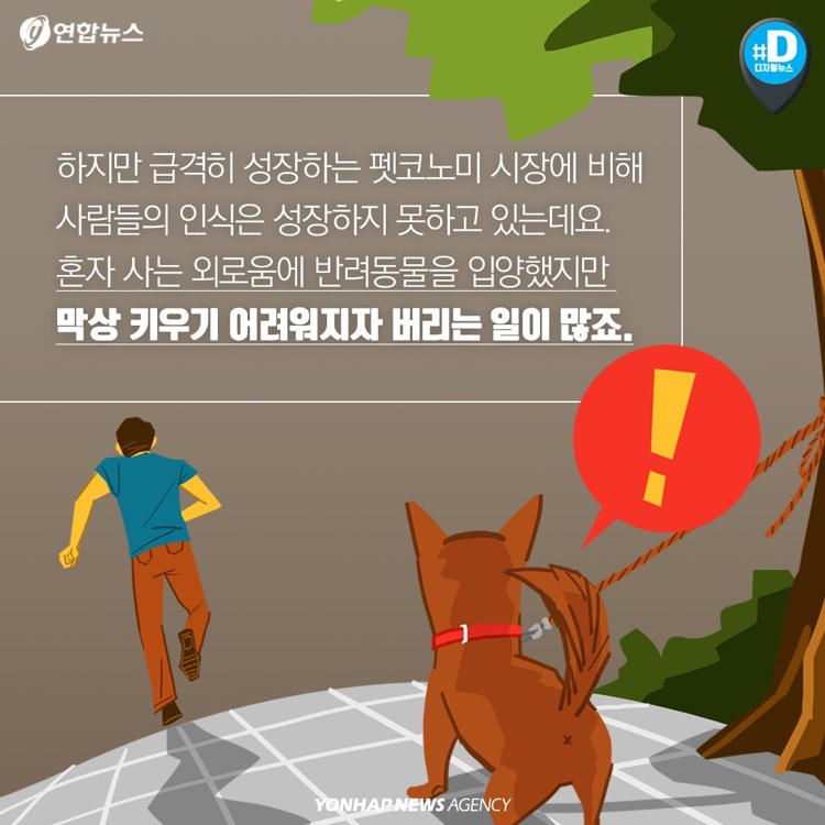 [카드뉴스] "가족이라면서요?"…유기동물 9만마리 육박 - 9