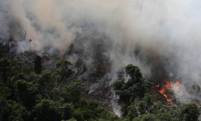 산불은 아마존 열대우림 파괴의 원인 가운데 하나로 지적된다. [브라질 일간지 글로부]
