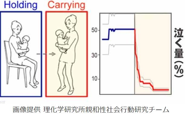아기를 안고 앉았을 때와 서 있을 때 아기가 우는 양을 나타낸 그래프. 파란 색이 