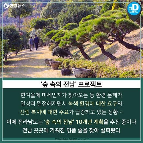 [카드뉴스] 새해맞이 나들이 '숲속의 전남' 어떨까요? - 10