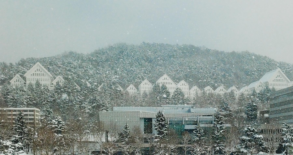 하얀 본관 건물과 히말리야시다가 매력적인 설경을 만드는 조선대학교(성연재 기자)
