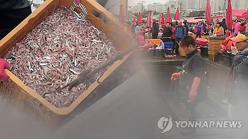 '최악의 흉어'꽃게·젓새우가 금값…작년의 2~3배 - 1