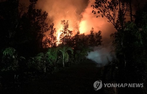 숲 사이로 흘러내리는 용암