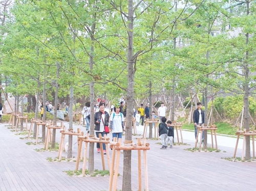 포항 철길숲