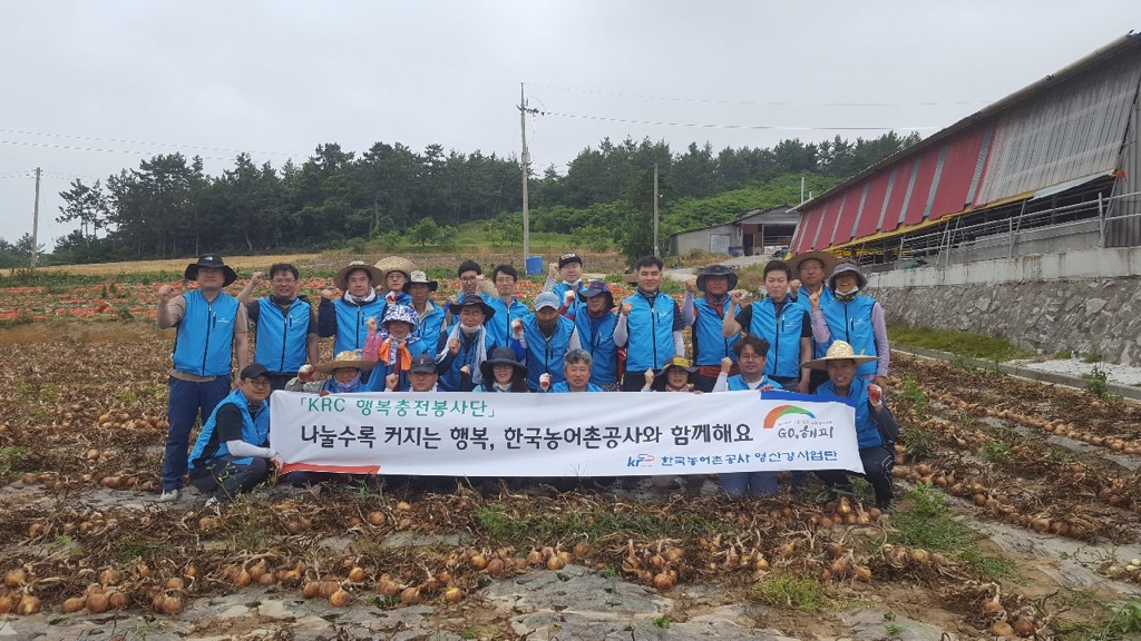 농어촌공사 영산강사업단 농촌일손돕기 구슬땀 - 1