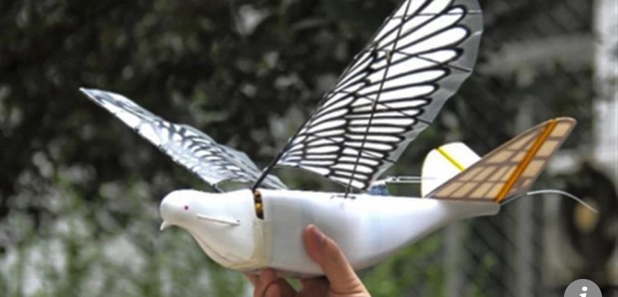 중국이 개발한 '비둘기 드론'