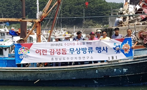 감성동 치어 방류 행사