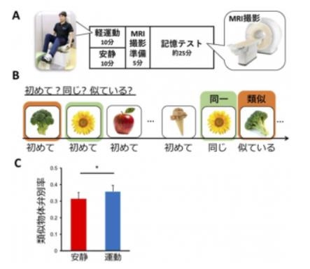 쓰쿠바대학 휴먼 하이 퍼포먼스첨단연구센터 홈페이지 캡처