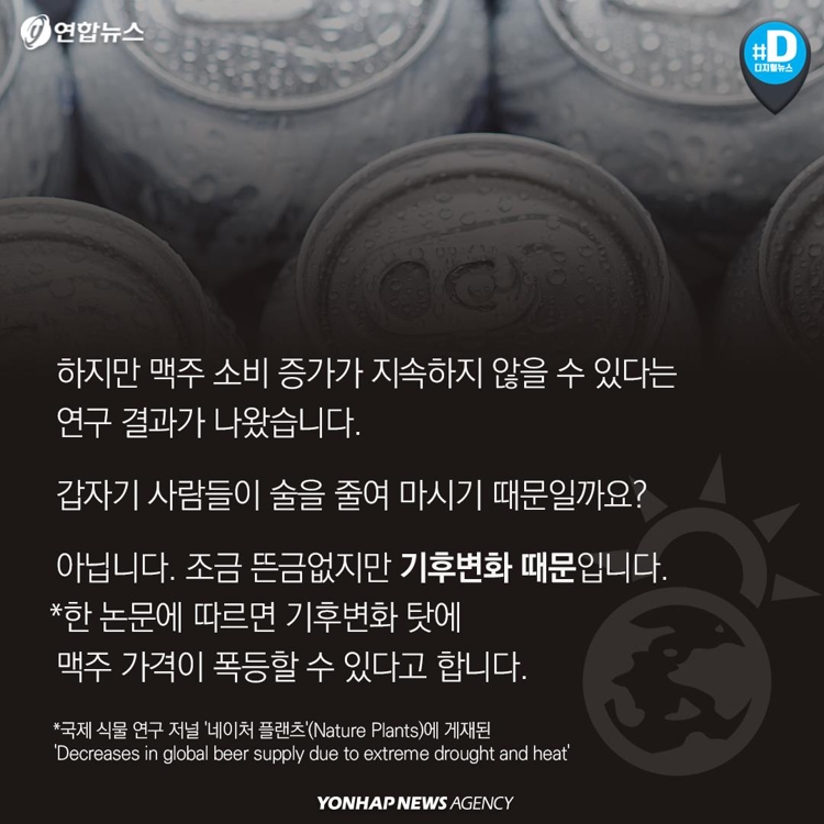 [카드뉴스] 애주가들 '기후변화, 남의 일 아니네'…술값 올라가나? - 4