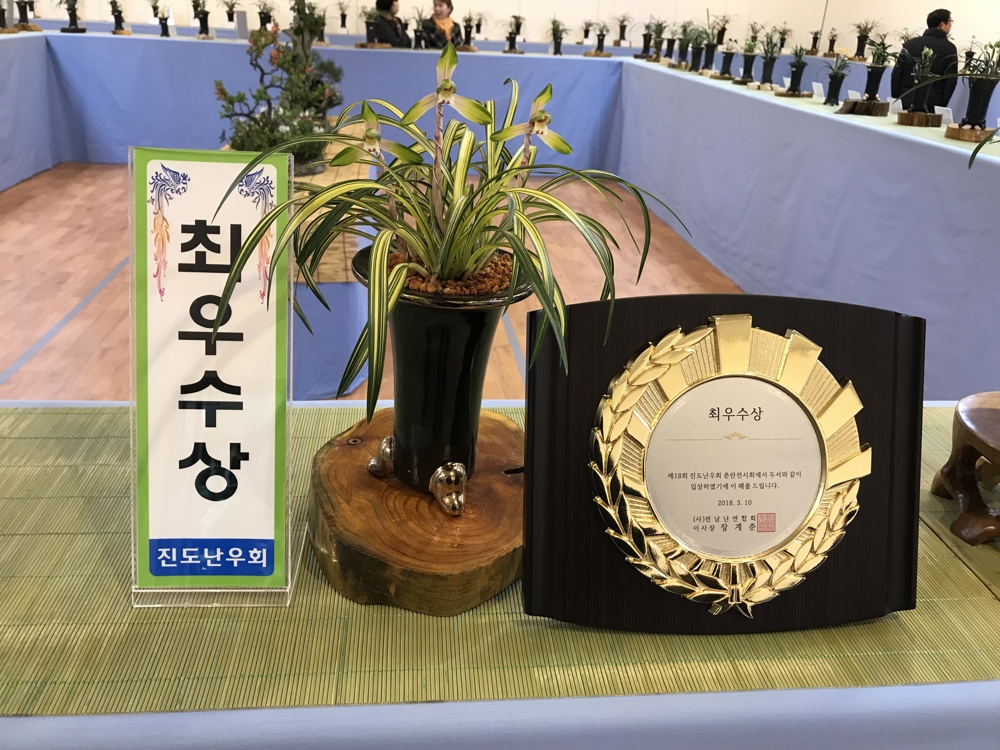 춘란 전시회