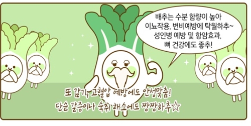 월동배추 소비 활성화 홍보