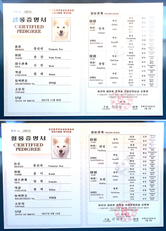 풍산개 '송강'과 '곰이'의 혈통증명서
