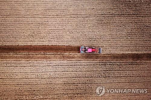 분주한 농촌 들녘