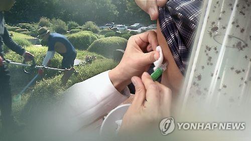 "알면 예방할 수 있어요"…쓰쓰가무시증ㆍ인플루엔자 주의(CG)