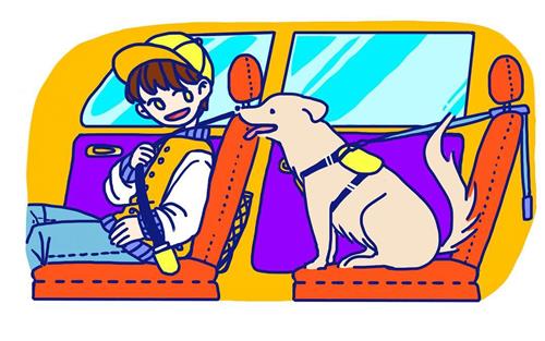 타다컴퍼니 반려동물 안전띠 착용 그림