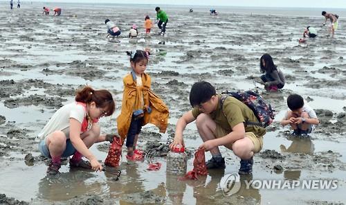 고창갯벌축제