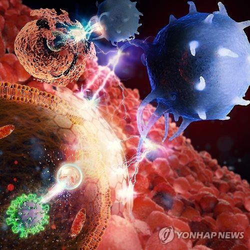 면역세포의 공격을 받는 B형 간염 바이러스 모식도