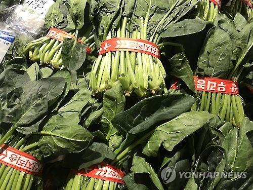 시금치