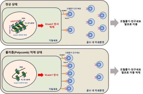 전태훈 고려대 교수 연구팀 연구 성과