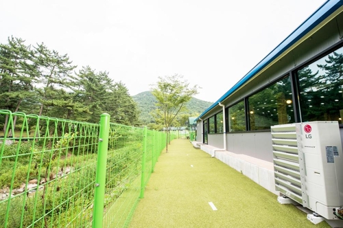 D애견스쿨